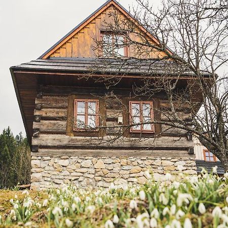 Chata Pod Rozsutcom Terhely Kültér fotó